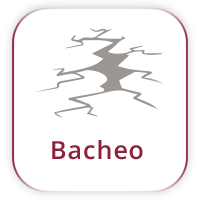 Bacheo